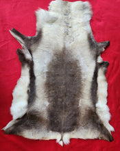 Load image into Gallery viewer, Caribou - Reindeer Hide - CAR1005