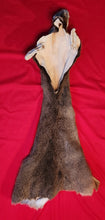 Load image into Gallery viewer, Whitetail Deer Cape - WTD1018