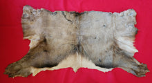 Load image into Gallery viewer, Elk Half Hide - ELK1002