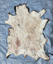 Load image into Gallery viewer, Raw Elk Hide - REH1008