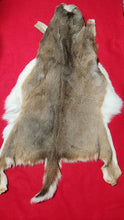 Load image into Gallery viewer, Whitetail Deer Hide - WTD1017