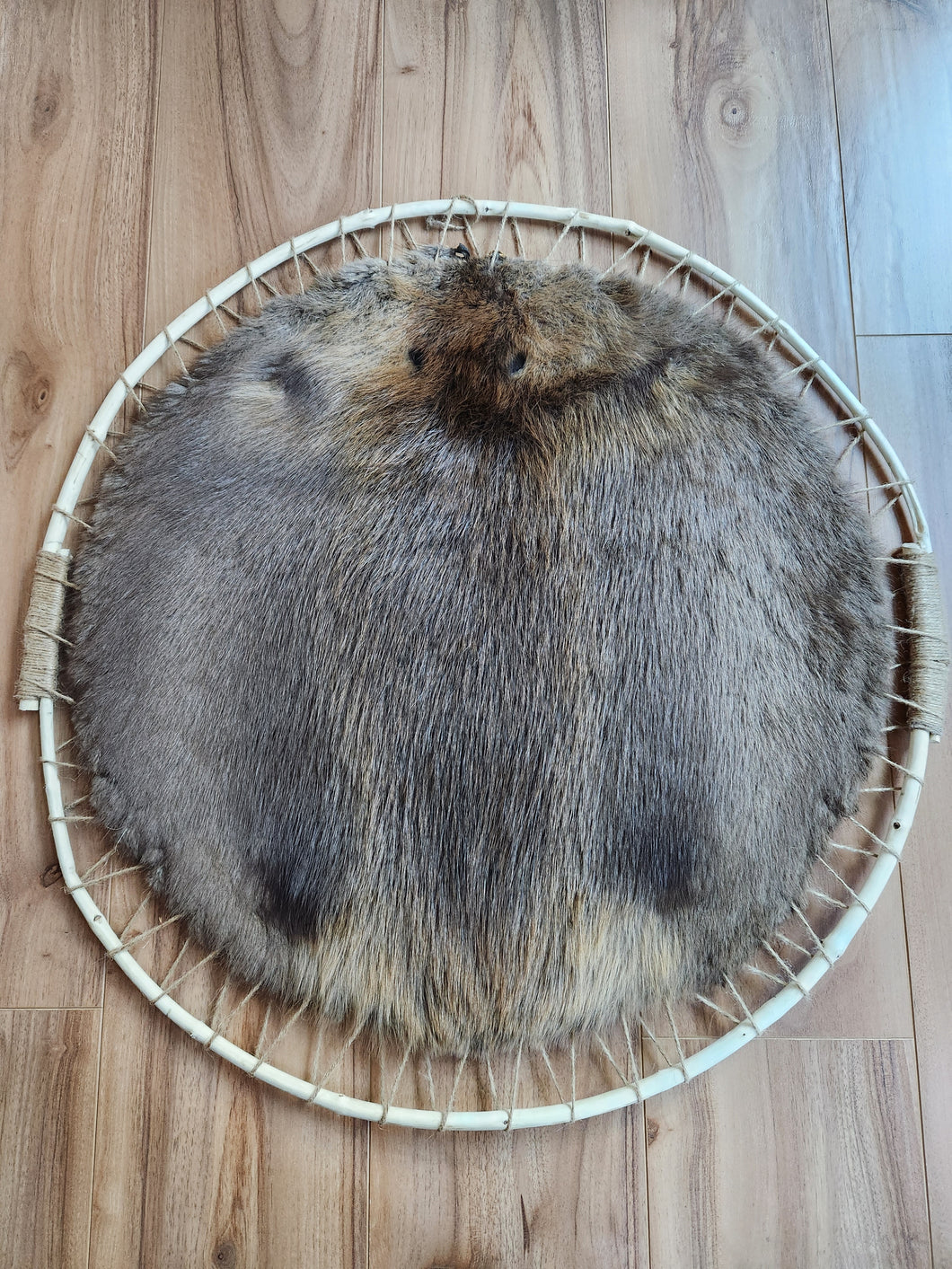 Hooped Beaver Hide