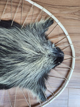 Load image into Gallery viewer, Hooped Porcupine
