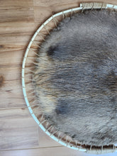 Load image into Gallery viewer, Hooped Beaver Hide
