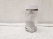 Load image into Gallery viewer, Testicles - Wet Specimens
