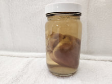 Load image into Gallery viewer, Animal Hearts - Wet Specimens
