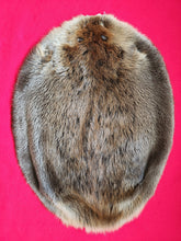 Load image into Gallery viewer, Large Beaver BVR1016
