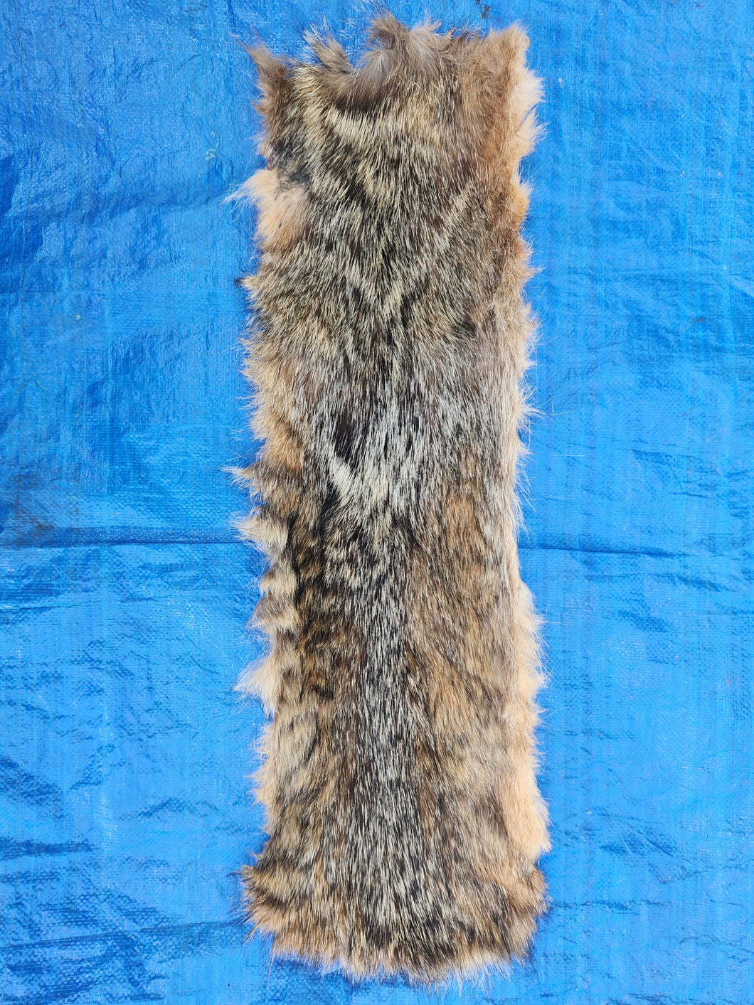 Coyote Hide - Piece