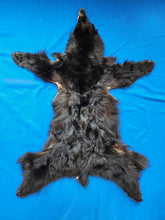 Load image into Gallery viewer, Black Bear - Taxidermy Quality - BBR1001
