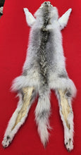 Load image into Gallery viewer, Canadian Arctic Wolf - Has FEET &amp; CLAWS - WLF1027
