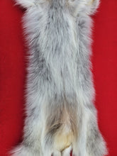 Load image into Gallery viewer, Canadian Arctic Wolf - Has FEET &amp; CLAWS - WLF1027
