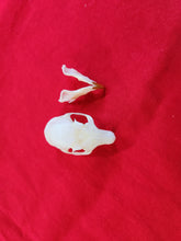 Load image into Gallery viewer, XL Western Red Squirrel Skull RSS1001
