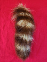 Load image into Gallery viewer, Raccoon Tail
