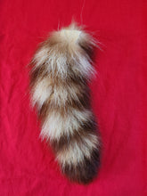 Load image into Gallery viewer, Raccoon Tail
