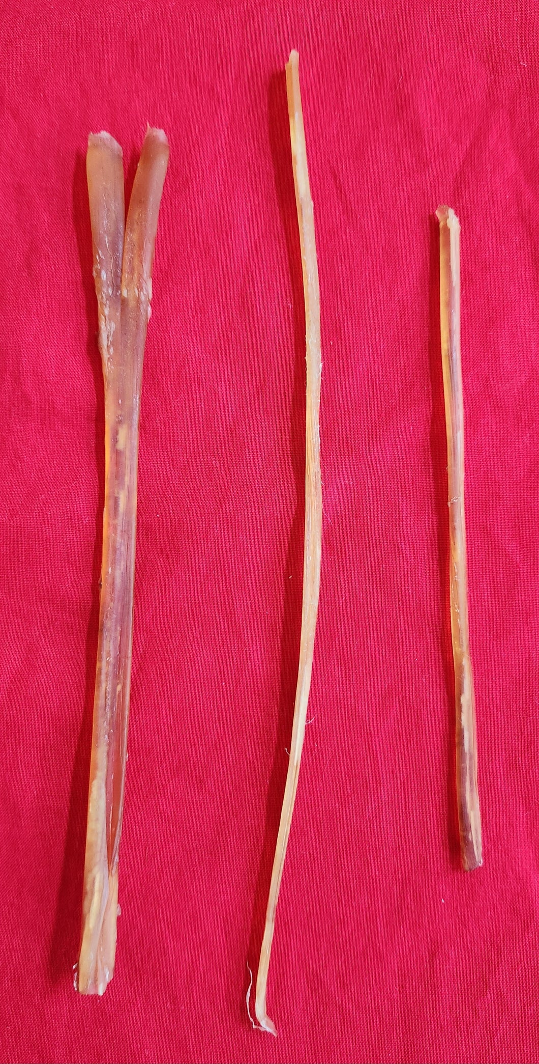 Elk Sinew