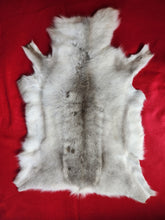 Load image into Gallery viewer, Caribou - Reindeer Hide - CAR1001
