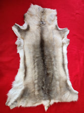 Load image into Gallery viewer, Caribou - Reindeer Hide - CAR1002
