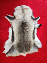 Load image into Gallery viewer, Caribou - Reindeer Hide - CAR1003
