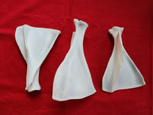 Load image into Gallery viewer, Whitetail Deer Scapulas - Shoulder Blades

