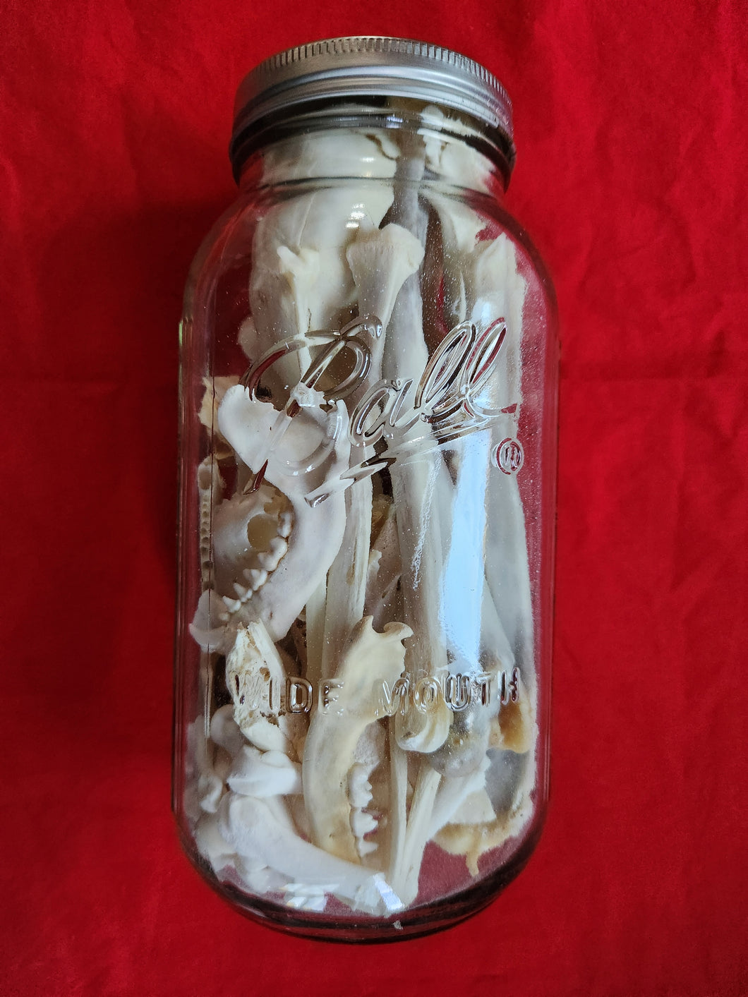 1/2 Gallon Jar of Bones