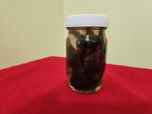 Load image into Gallery viewer, Animal Feet/Paws - Wet Specimens
