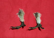 Load image into Gallery viewer, Forest Grouse Feet
