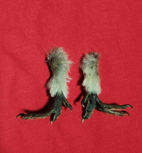 Load image into Gallery viewer, Forest Grouse Feet
