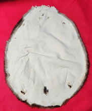 Load image into Gallery viewer, Large Beaver - BVR1063
