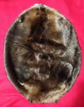 Load image into Gallery viewer, Large Beaver - BVR1062
