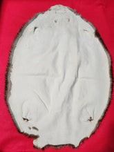 Load image into Gallery viewer, XL Beaver - BVR1061
