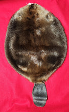 Load image into Gallery viewer, LM Beaver - WITH TAIL - BVR1059
