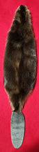 Load image into Gallery viewer, LM CASED Beaver - WITH TAIL - BVR1056
