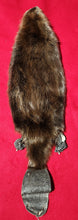 Load image into Gallery viewer, Large CASED Beaver - HAS FEET AND CLAWS - BVR1038

