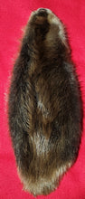 Load image into Gallery viewer, XS CASED Beaver - BVR1057
