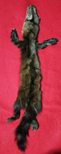 Load image into Gallery viewer, XL Marten - HAS FEET AND CLAWS - MTN1002
