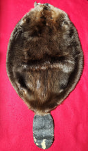 Load image into Gallery viewer, Large Beaver - WITH TAIL - BVR1073
