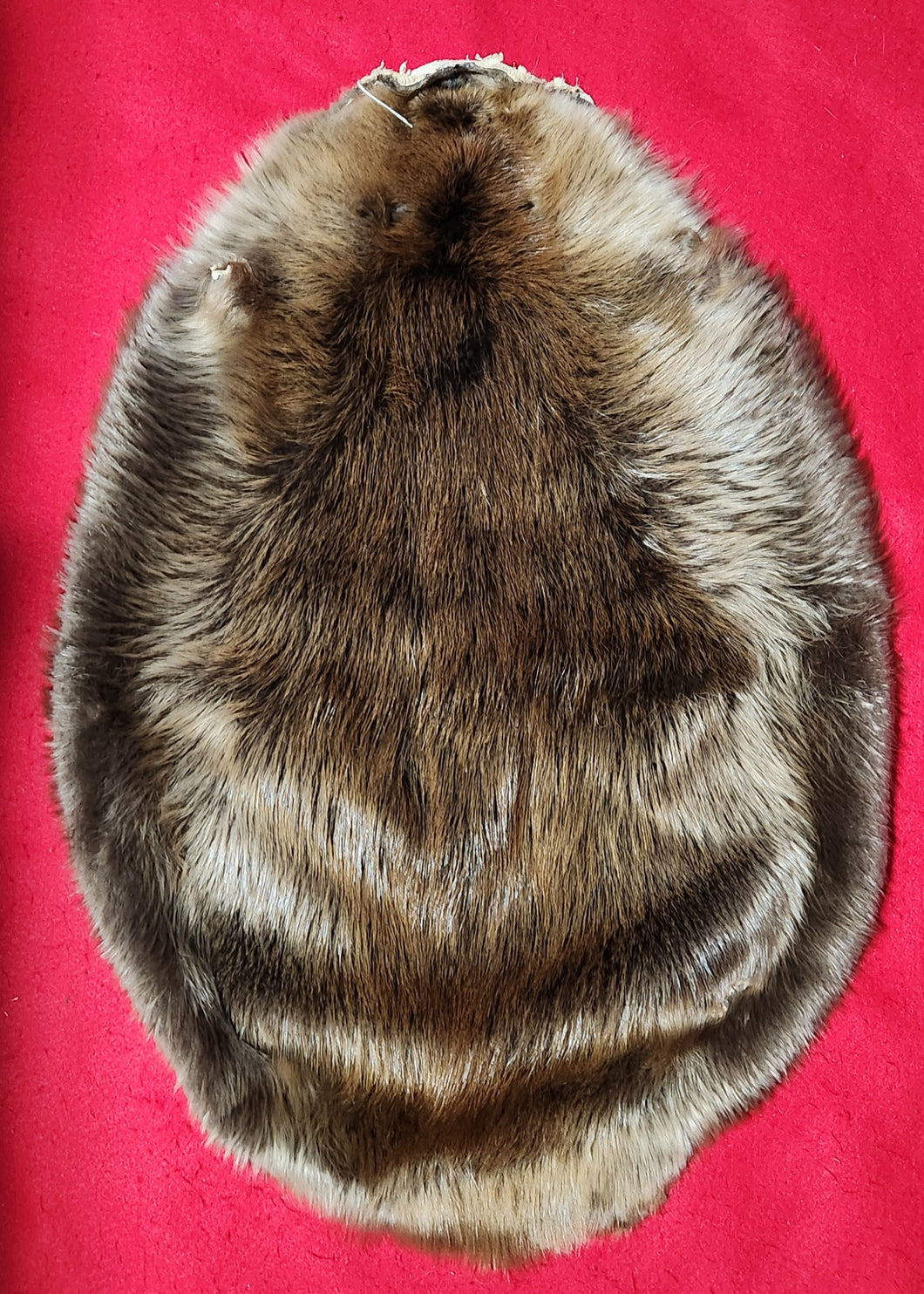 Large Beaver - BVR1072