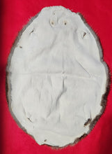 Load image into Gallery viewer, Large Beaver - BVR1072

