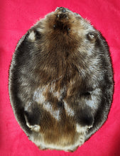 Load image into Gallery viewer, Large Beaver - BVR1070
