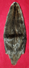 Load image into Gallery viewer, LM Beaver - CASED - BVR1069
