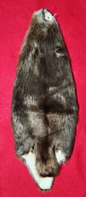 Load image into Gallery viewer, LM Beaver - CASED - BVR1069
