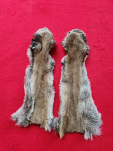 Load image into Gallery viewer, Mountain Lion Front Leg Skins w/ Feet &amp; Claws - MTL1022D4
