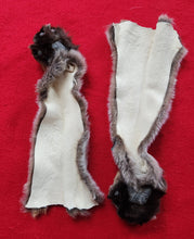 Load image into Gallery viewer, Mountain Lion Front Leg Skins w/ Feet &amp; Claws - MTL1022D4
