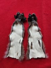 Load image into Gallery viewer, Mountain Lion Rear Leg Skins w/ Feet &amp; Claws - MTL1022D3
