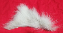 Load image into Gallery viewer, Mountain Lion Belly Fur - MTL1048
