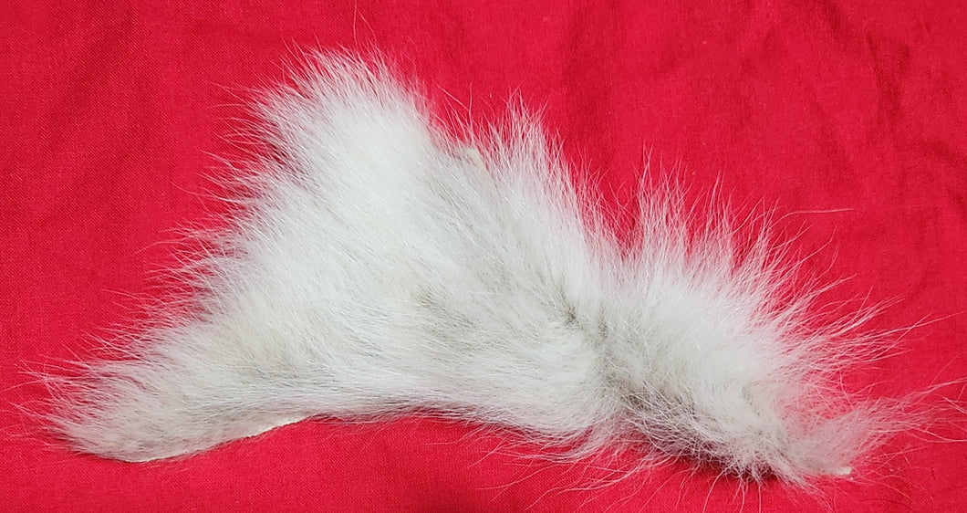 Mountain Lion Belly Fur - MTL1048