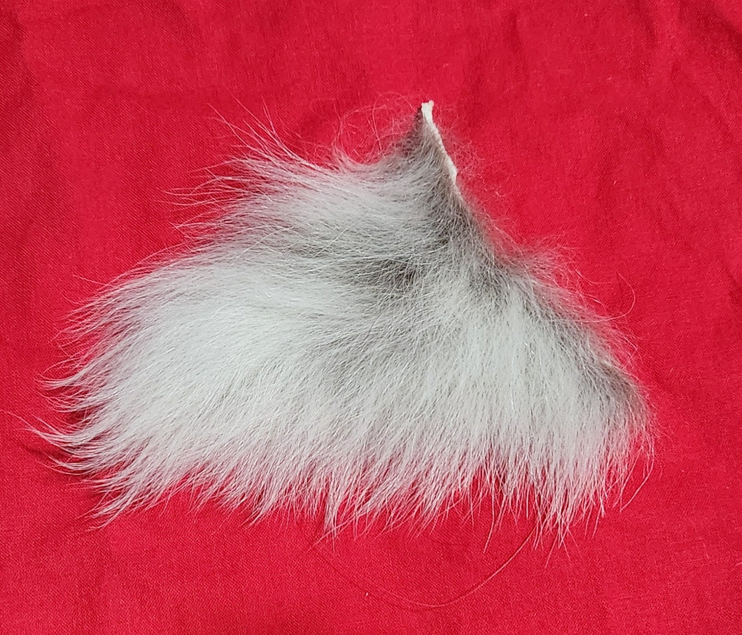 Mountain Lion Belly Fur - MTL1045