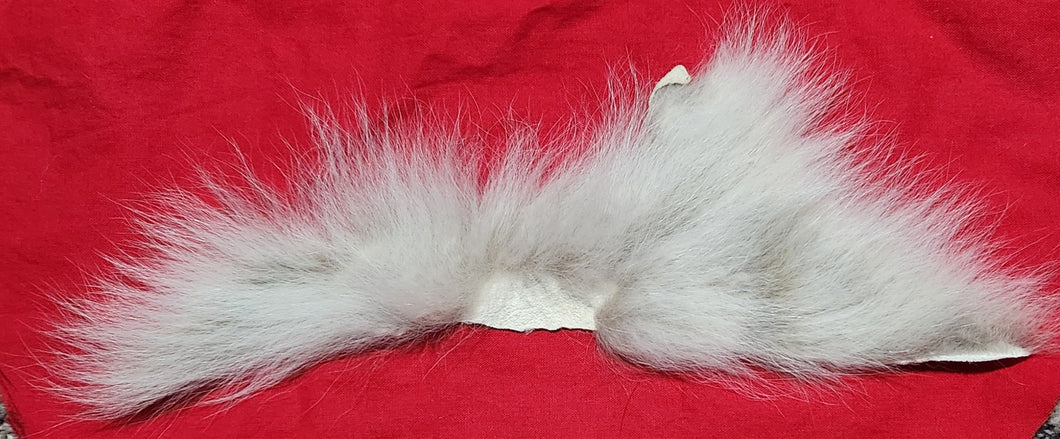 Mountain Lion Belly Fur - MTL1050