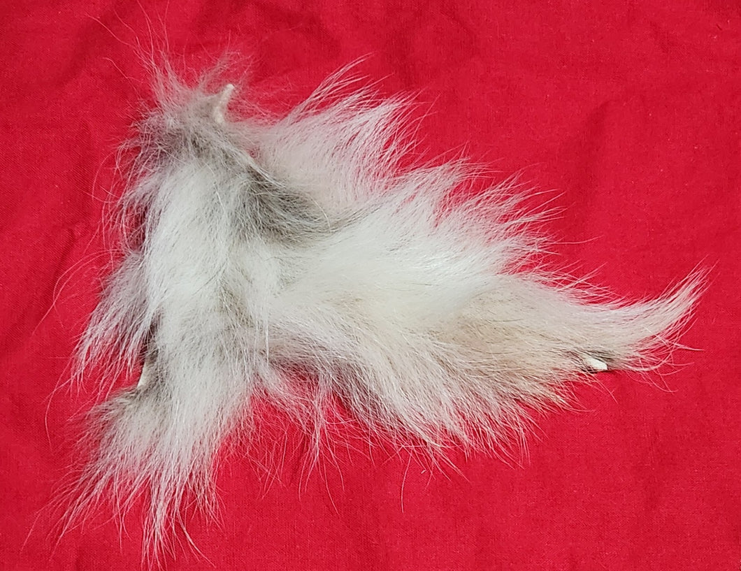 Mountain Lion Belly Fur - MTL1047