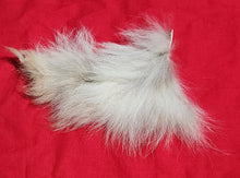 Load image into Gallery viewer, Mountain Lion Belly Fur - MTL1046
